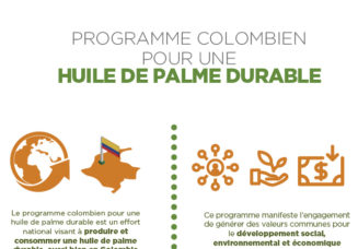 Programme colombien pour une huile de palme durable