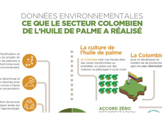 Données environnementales ce que le secteur colombien de l’huile de palme a réalisé