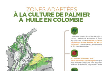 Zones adaptées à la culture de palmier à  huile en colombie