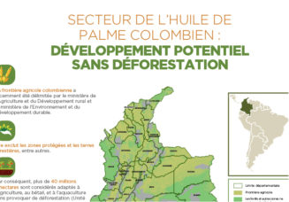 Secteur de l’huile de palme colombien : développement potentiel sans déforestation
