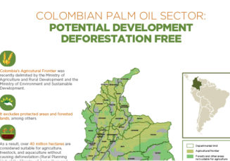 Colombian oil palm sector: potential development deforestation free
