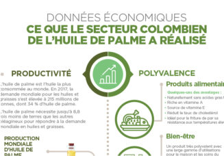 Données économiques ce que le secteur colombien de l’huile de palme a réalisé