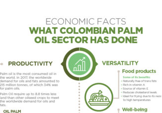 Economic facts: what Colombian oil palm sector has done