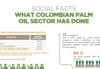 Social facts: what Colombian oil palm sector has done